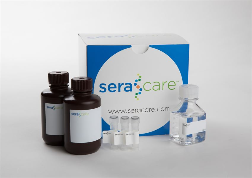 SeraCare?KPL高性?xún)r(jià)比WB底物 SeraCare?KPL高性?xún)r(jià)比WB底物